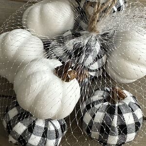 Robert Stanley Signature Collection Pumpkins 8 PC‎ Fall or Halloween Decor